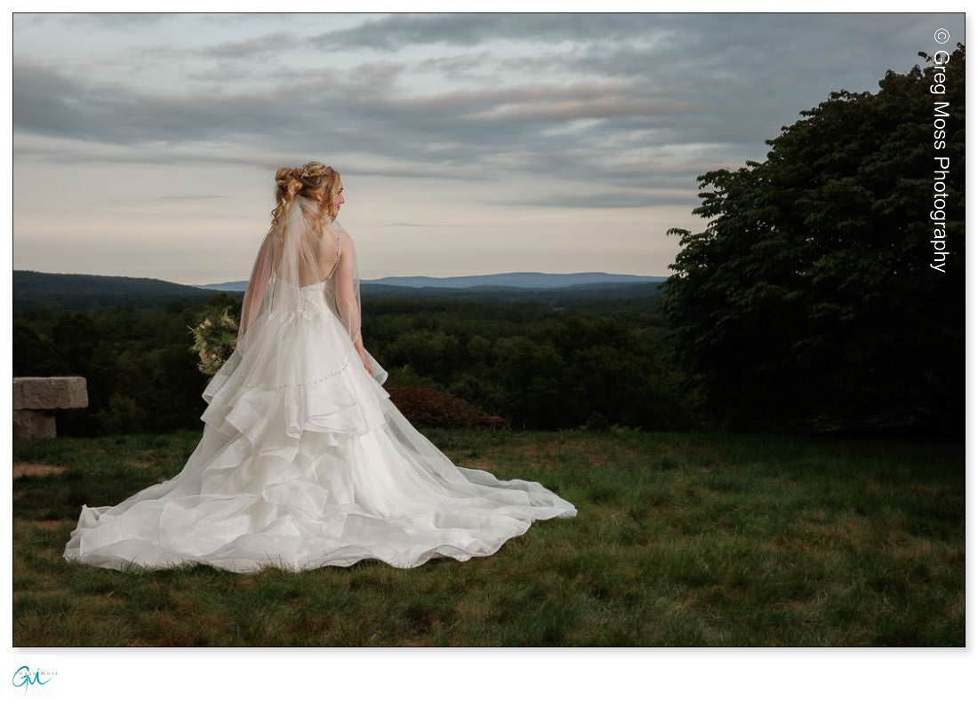 photo of the bride and the back of her wedding dress