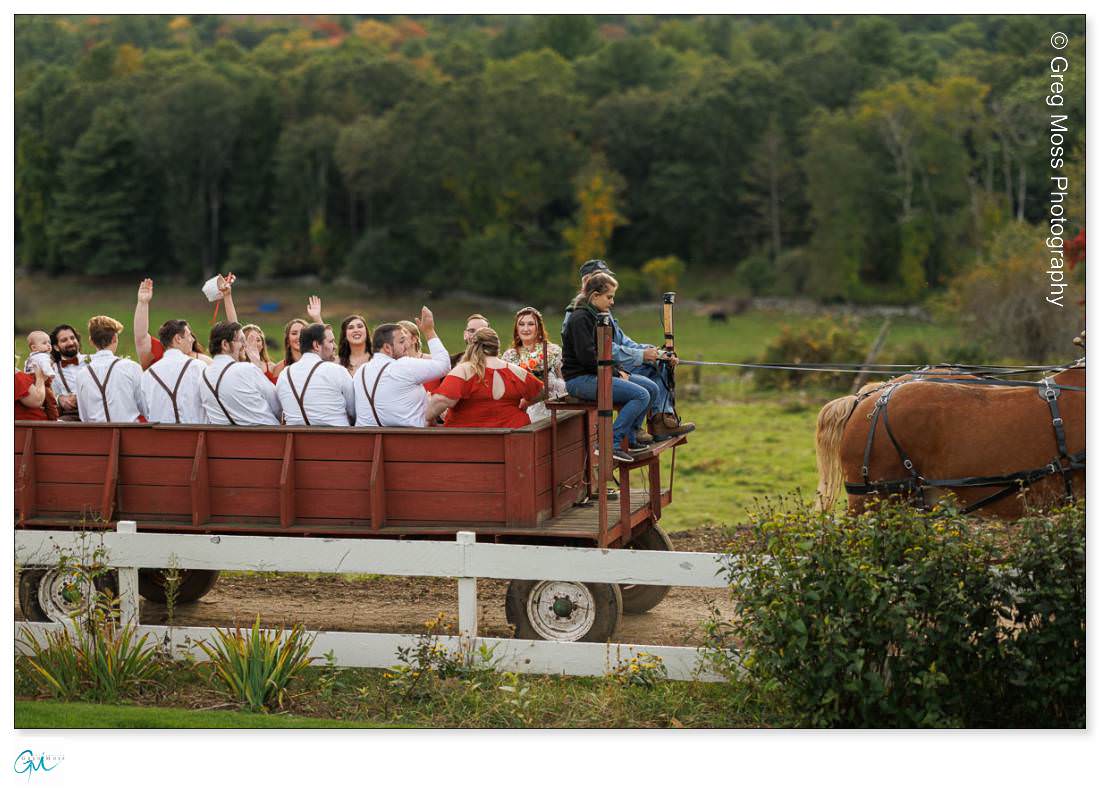 Wedding party in horse wagon ride at the Salem Cross Inn