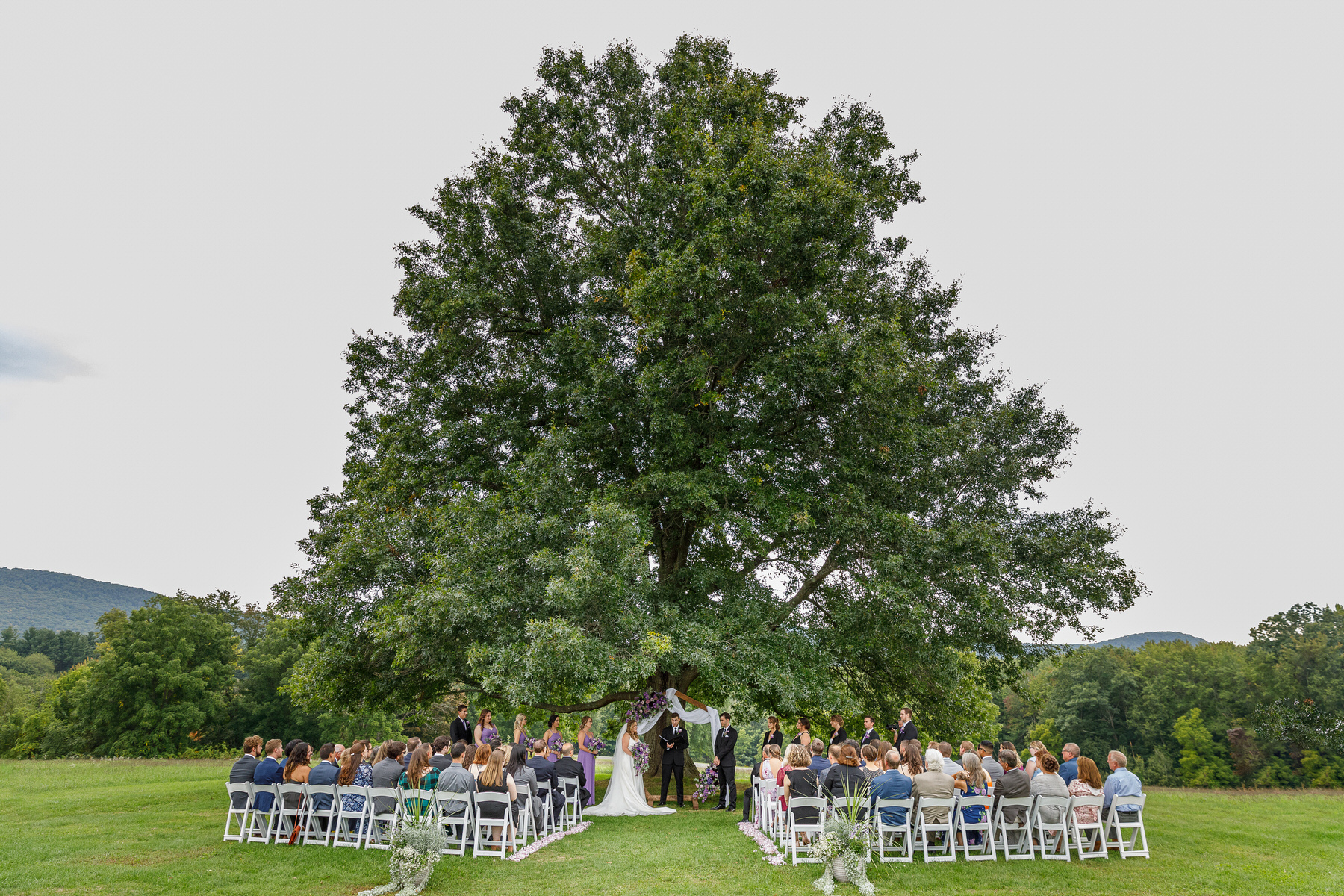 Big tree outside ceremony at The Red Barn